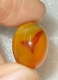 Rarest stone with natural brahmastra sign (sold)